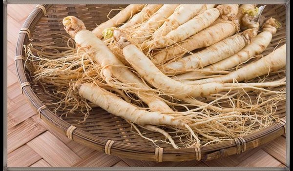 للرجال فقط!! اختراع علاج و بديل طبيعي