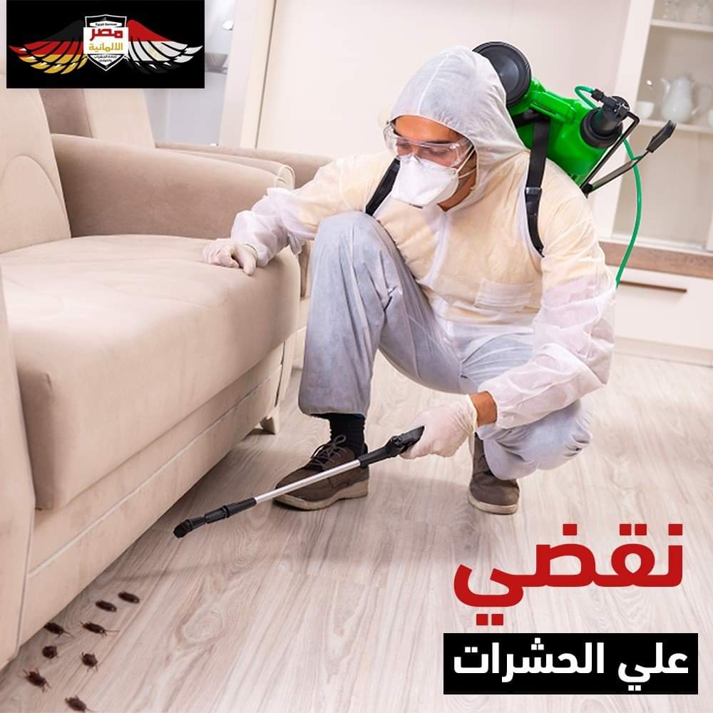 01206011117 افضل شركه مكافحه حشرات في مصر لحياه صحيه وبيئه افضل